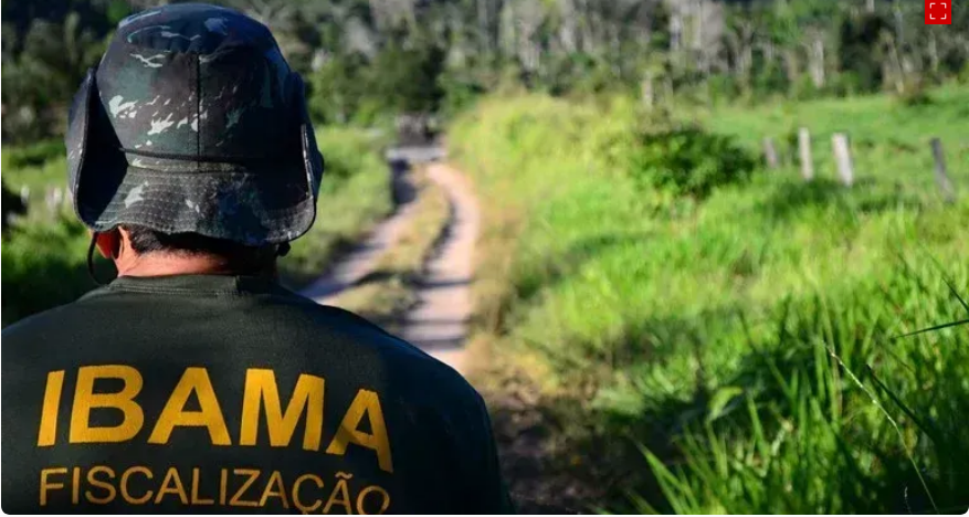 Concurso Ibama 2025: 460 Vagas e Salários de Até R$ 9,9 Mil